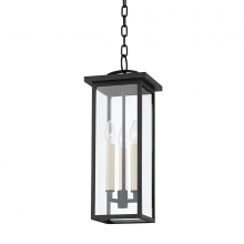 Troy F7520-TBK - Eden Exterior Pendant