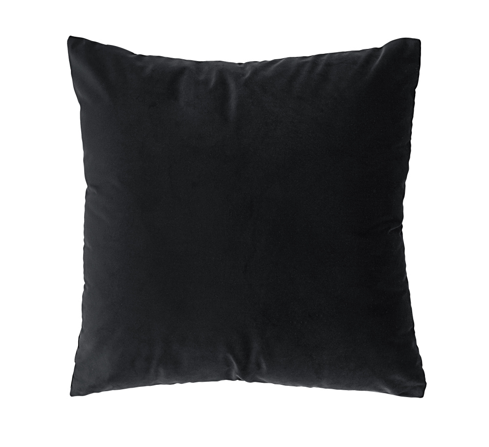 Dianthus 20X20 Indoor Pillow, Black