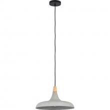 Renwil LPC4331 - Viola-May 9" Length Ceiling Fixture, Grey