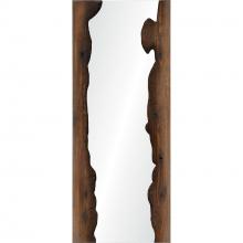 Renwil MT2385 - Connix 50" Tall Rectangle Wall Mirror, Brown