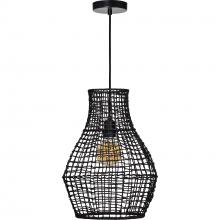 Renwil LPC4425 - Akami