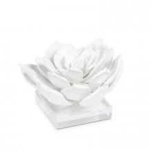 Regina Andrew 20-1483 - Regina Andrew Succulent Resin Sculpture 1; Dimensions 7.5W x 4.25H x 7.5D