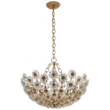 Visual Comfort & Co. Signature Collection ALL US ARN 5220G-CG - Claret Short Chandelier