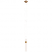 Visual Comfort & Co. Signature Collection ALL US S 5675HAB-WG - Presidio Petite Tall Pendant