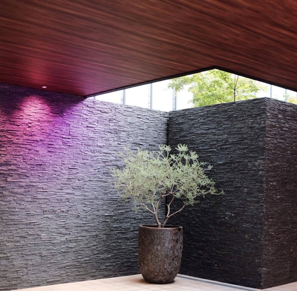 DALS CONNECT PRO Smart 6" Deep Regressed Panel