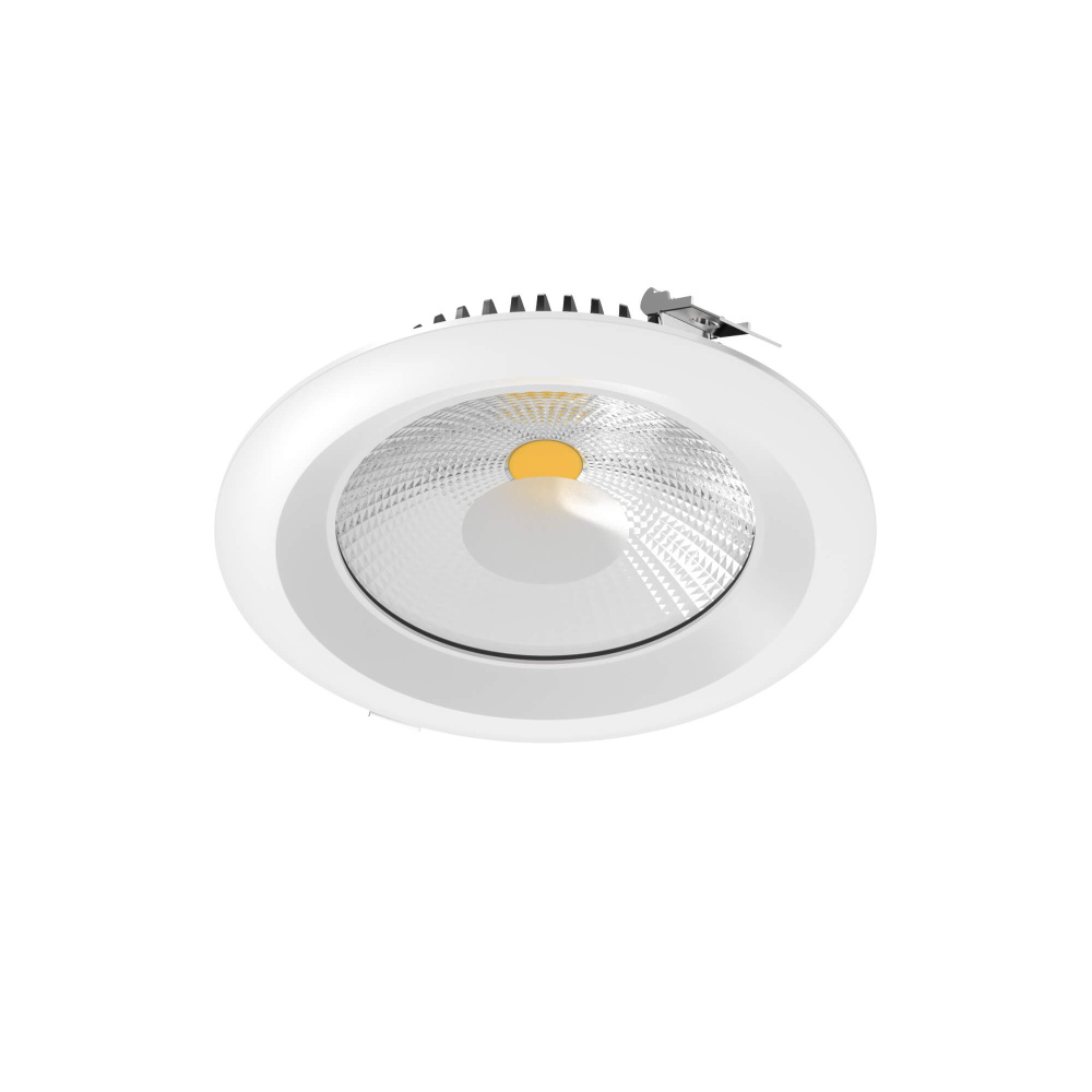 High-Powered Commercial Downlight