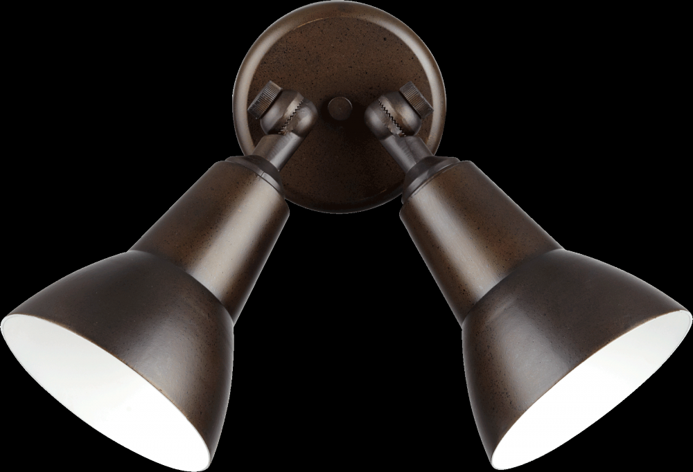 2LT PAR LAMP FLOODLGT -OB