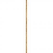 Hinkley 6037HB - 12" Stem for 41047HB